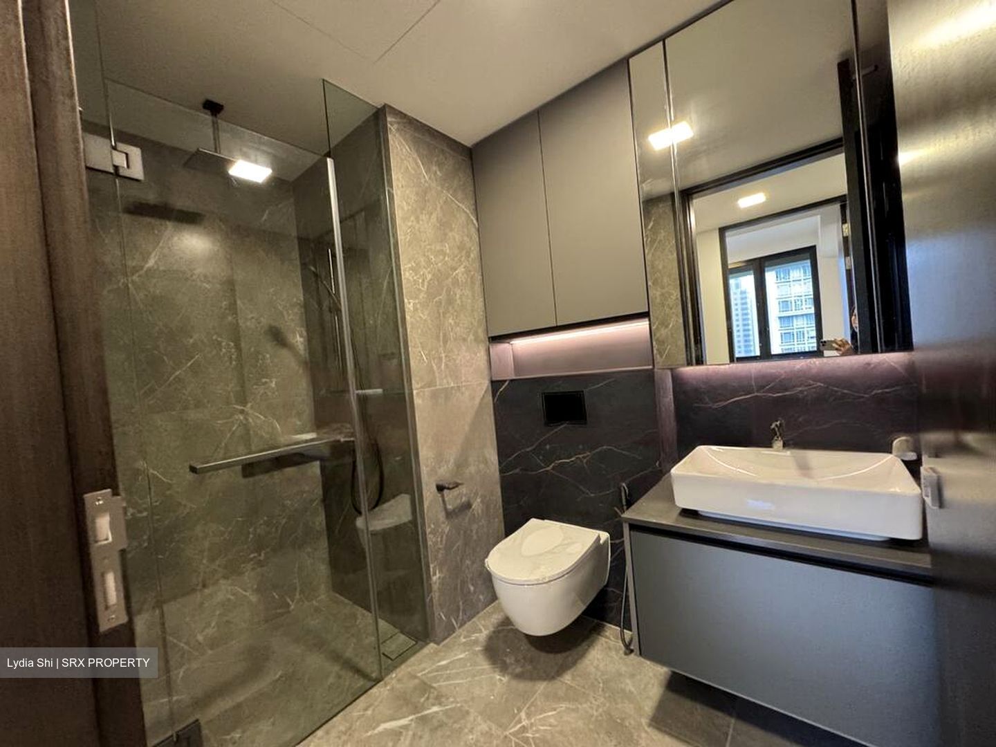 Irwell Hill Residences (D9), Apartment #458830991